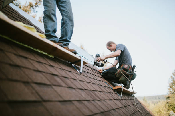 Fast & Reliable Emergency Roof Repairs in Cheboygan, MI